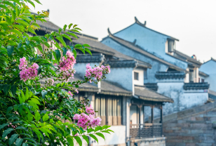 沙溪古镇