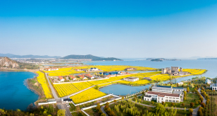 西山岛
